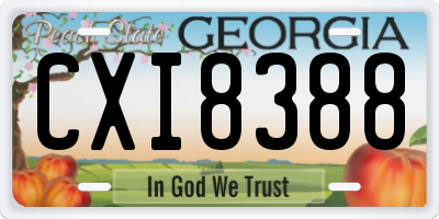 GA license plate CXI8388