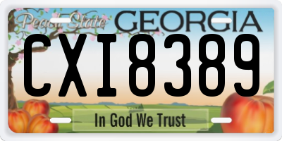 GA license plate CXI8389
