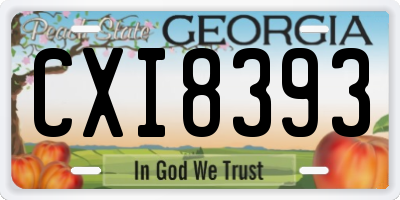 GA license plate CXI8393