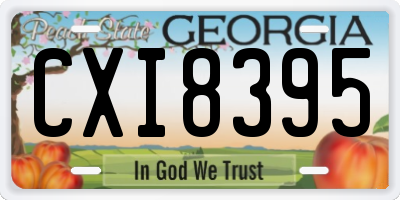 GA license plate CXI8395