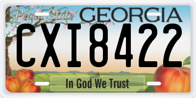 GA license plate CXI8422