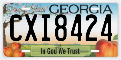 GA license plate CXI8424