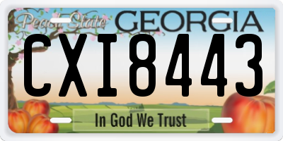GA license plate CXI8443