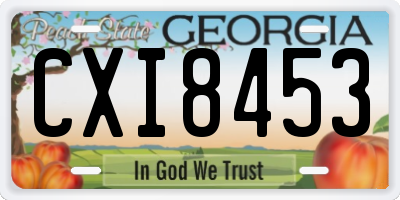 GA license plate CXI8453