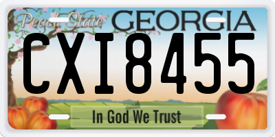 GA license plate CXI8455