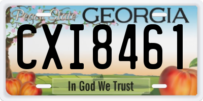 GA license plate CXI8461