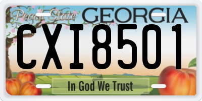 GA license plate CXI8501