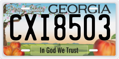 GA license plate CXI8503