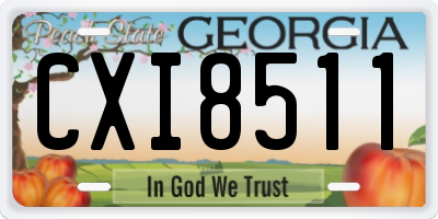 GA license plate CXI8511