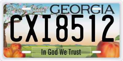 GA license plate CXI8512