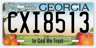 GA license plate CXI8513