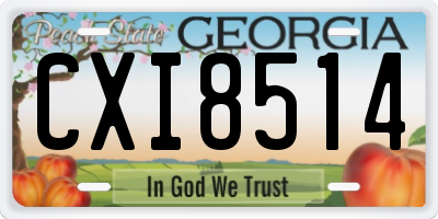 GA license plate CXI8514