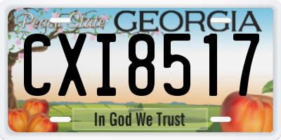 GA license plate CXI8517