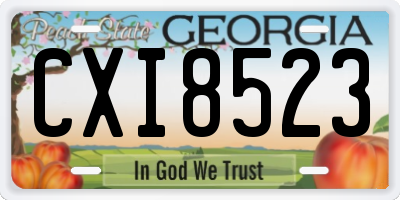 GA license plate CXI8523