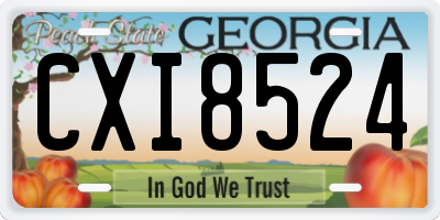 GA license plate CXI8524