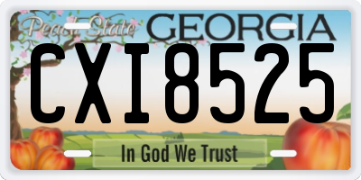 GA license plate CXI8525