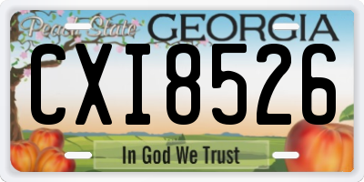 GA license plate CXI8526