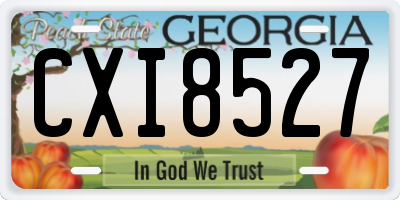 GA license plate CXI8527