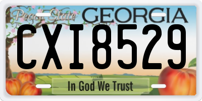GA license plate CXI8529