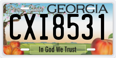 GA license plate CXI8531