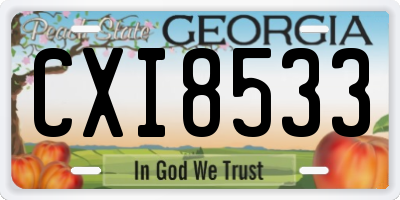 GA license plate CXI8533