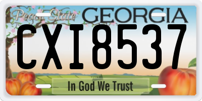 GA license plate CXI8537