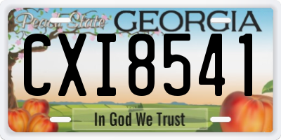 GA license plate CXI8541