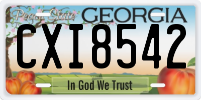 GA license plate CXI8542