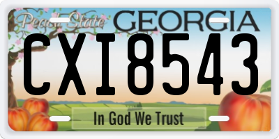 GA license plate CXI8543