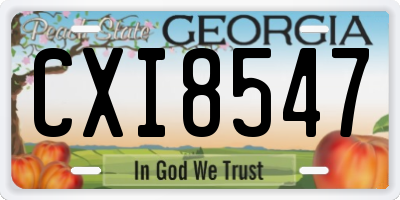 GA license plate CXI8547