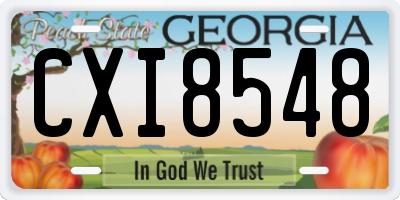 GA license plate CXI8548