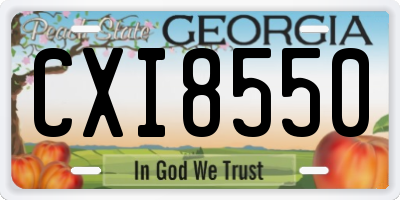 GA license plate CXI8550