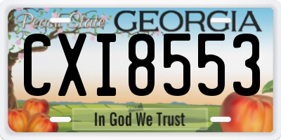 GA license plate CXI8553