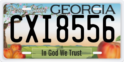 GA license plate CXI8556