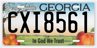 GA license plate CXI8561
