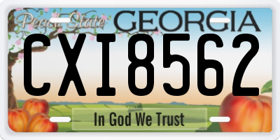 GA license plate CXI8562