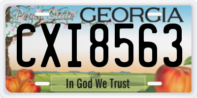 GA license plate CXI8563