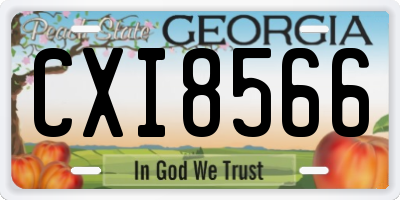 GA license plate CXI8566