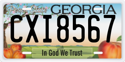 GA license plate CXI8567