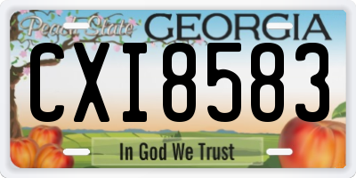 GA license plate CXI8583