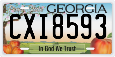 GA license plate CXI8593