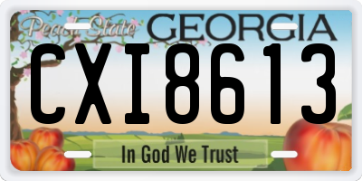 GA license plate CXI8613