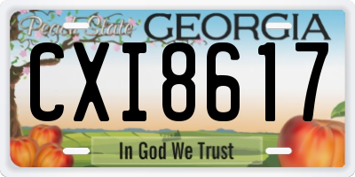 GA license plate CXI8617