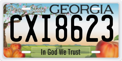 GA license plate CXI8623