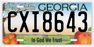 GA license plate CXI8643