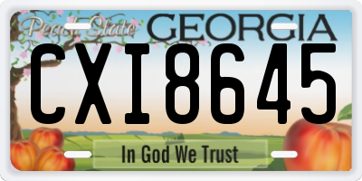 GA license plate CXI8645