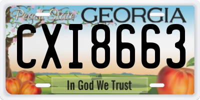 GA license plate CXI8663