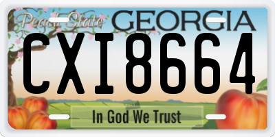 GA license plate CXI8664