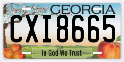 GA license plate CXI8665