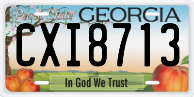 GA license plate CXI8713